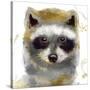 Golden Forest - Raccoon-null-Stretched Canvas