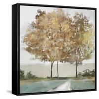 Golden Forest Shimmer-Isabelle Z-Framed Stretched Canvas