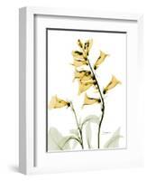 Golden Foxglove-Albert Koetsier-Framed Art Print