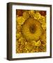 Golden Garden Sunflowers & Marigolds-null-Framed Art Print