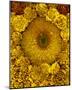Golden Garden Sunflowers & Marigolds-null-Mounted Art Print