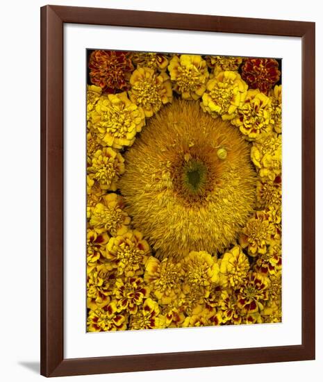 Golden Garden Sunflowers & Marigolds-null-Framed Art Print