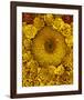 Golden Garden Sunflowers & Marigolds-null-Framed Art Print