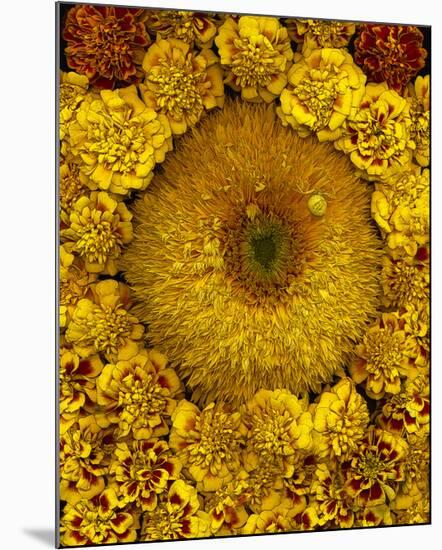 Golden Garden Sunflowers & Marigolds-null-Mounted Art Print