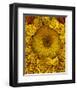 Golden Garden Sunflowers & Marigolds-null-Framed Art Print