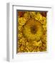 Golden Garden Sunflowers & Marigolds-null-Framed Art Print