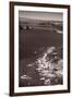 Golden Gate Aloft BW-Steve Gadomski-Framed Photographic Print