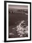 Golden Gate Aloft BW-Steve Gadomski-Framed Photographic Print