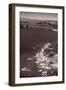 Golden Gate Aloft BW-Steve Gadomski-Framed Photographic Print