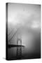 Golden Gate and Birds-Moises Levy-Stretched Canvas