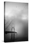 Golden Gate and Birds-Moises Levy-Stretched Canvas