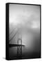 Golden Gate and Birds-Moises Levy-Framed Stretched Canvas