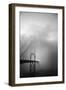 Golden Gate and Birds-Moises Levy-Framed Premium Photographic Print