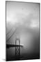 Golden Gate and Birds-Moises Levy-Mounted Premium Photographic Print