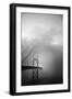 Golden Gate and Birds-Moises Levy-Framed Photographic Print