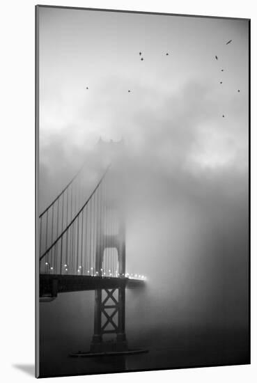 Golden Gate and Birds-Moises Levy-Mounted Photographic Print