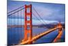 Golden Gate Bridge and Bay Ca-null-Mounted Art Print