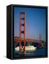 Golden Gate Bridge and Cruise Ship, San Francisco, California, USA-Steve Vidler-Framed Stretched Canvas