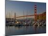 Golden Gate Bridge and Horseshoe Cove, San Francisco, California-Darrell Gulin-Mounted Photographic Print