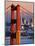 Golden Gate Bridge and San Francisco Skyline-Paul Souders-Mounted Photographic Print