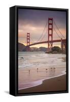 Golden Gate Bridge and Shore Birds, San Francisco-null-Framed Stretched Canvas