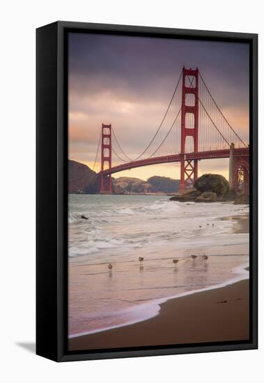 Golden Gate Bridge and Shore Birds, San Francisco-null-Framed Stretched Canvas