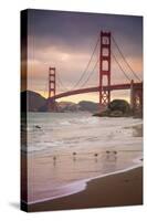 Golden Gate Bridge and Shore Birds, San Francisco-null-Stretched Canvas