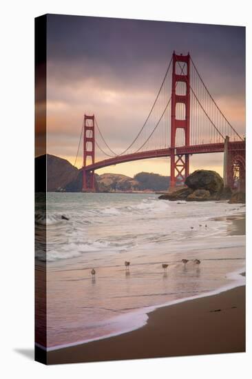 Golden Gate Bridge and Shore Birds, San Francisco-null-Stretched Canvas