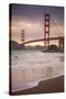 Golden Gate Bridge and Shore Birds, San Francisco-null-Stretched Canvas