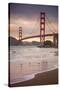 Golden Gate Bridge and Shore Birds, San Francisco-null-Stretched Canvas