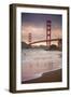 Golden Gate Bridge and Shore Birds, San Francisco-null-Framed Premium Photographic Print