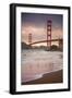 Golden Gate Bridge and Shore Birds, San Francisco-null-Framed Premium Photographic Print