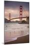 Golden Gate Bridge and Shore Birds, San Francisco-null-Mounted Premium Photographic Print