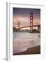 Golden Gate Bridge and Shore Birds, San Francisco-null-Framed Premium Photographic Print