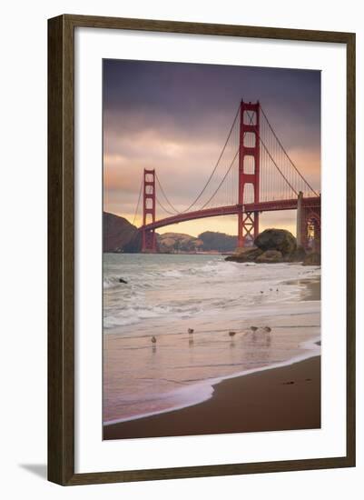 Golden Gate Bridge and Shore Birds, San Francisco-null-Framed Premium Photographic Print