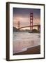 Golden Gate Bridge and Shore Birds, San Francisco-null-Framed Premium Photographic Print