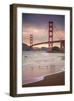 Golden Gate Bridge and Shore Birds, San Francisco-null-Framed Photographic Print