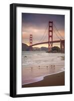 Golden Gate Bridge and Shore Birds, San Francisco-null-Framed Photographic Print