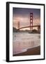 Golden Gate Bridge and Shore Birds, San Francisco-null-Framed Photographic Print