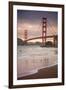 Golden Gate Bridge and Shore Birds, San Francisco-null-Framed Photographic Print