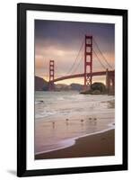 Golden Gate Bridge and Shore Birds, San Francisco-null-Framed Photographic Print