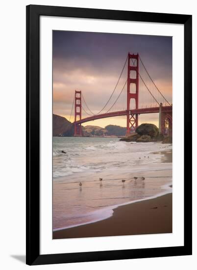 Golden Gate Bridge and Shore Birds, San Francisco-null-Framed Photographic Print