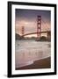 Golden Gate Bridge and Shore Birds, San Francisco-null-Framed Photographic Print