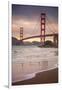 Golden Gate Bridge and Shore Birds, San Francisco-null-Framed Photographic Print