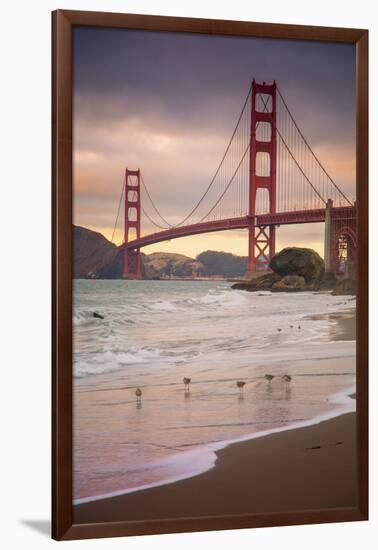 Golden Gate Bridge and Shore Birds, San Francisco-null-Framed Photographic Print