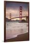 Golden Gate Bridge and Shore Birds, San Francisco-null-Framed Photographic Print