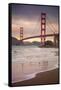 Golden Gate Bridge and Shore Birds, San Francisco-null-Framed Stretched Canvas