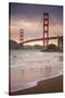 Golden Gate Bridge and Shore Birds, San Francisco-null-Stretched Canvas