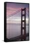 Golden Gate Bridge at Dawn with San Francisco City Lights in the Background-Adam Barker-Framed Stretched Canvas