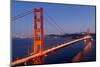 Golden Gate Bridge at Night. San Francisco, USA-TEA-Mounted Photographic Print